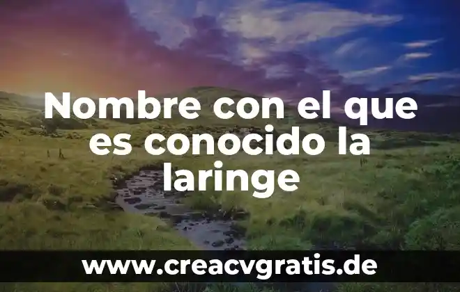 Estado que es conocido como el valle del silencio 8 Nombre con el que es conocido la laringe