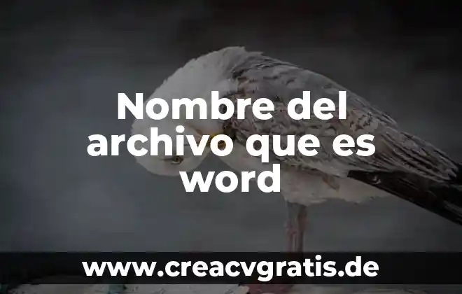 Que es pts en word para un titulo 8 Nombre del archivo que es word
