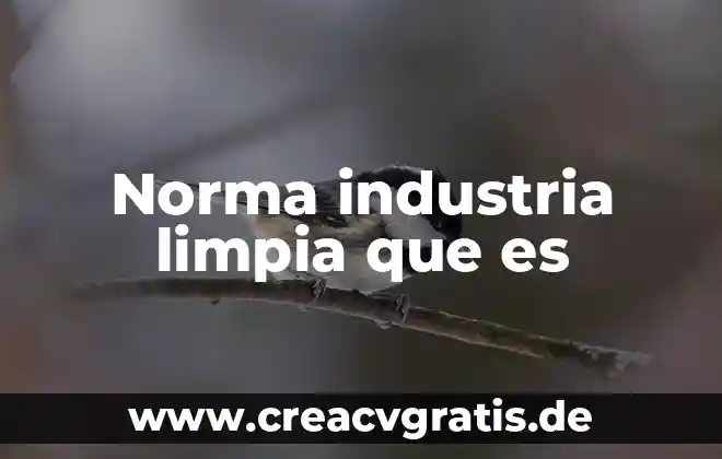 Agua limpia y saneamiento que es 6 Norma industria limpia que es