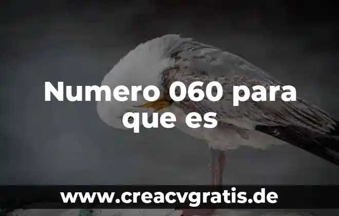 Que es el número de referencia 4 Numero 060 para que es