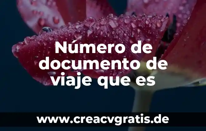 Qué es número desconocido de álgebra 7 Número de documento de viaje que es