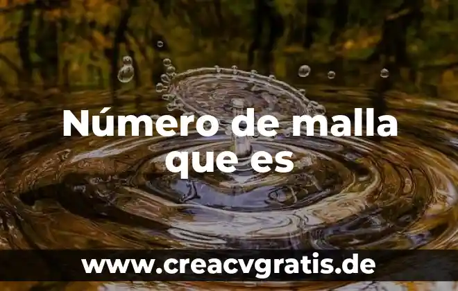 Qué es el número consecuente 8 Número de malla que es