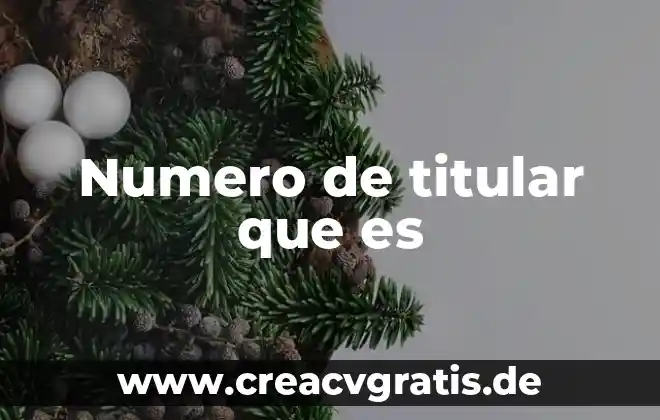 Qué es el número de contribuyente 8 Numero de titular que es