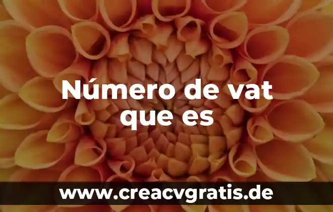 Qué es el número estrella 5 Número de vat que es