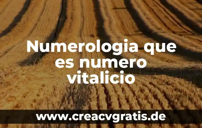 Qué es el significado de giovanni 6 Numerologia que es numero vitalicio