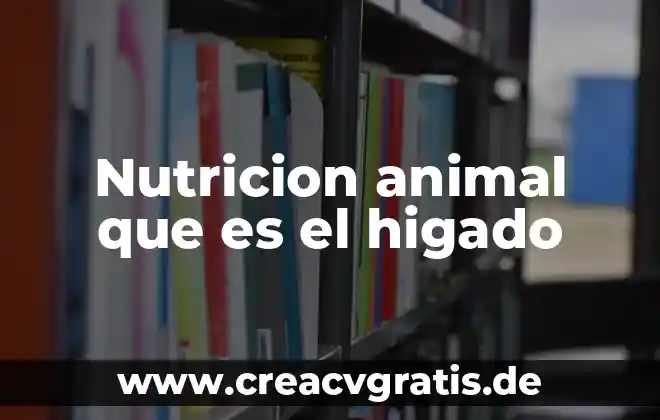 Qué es servicios a la carga en el puerto aduanero 6 Nutricion animal que es el higado