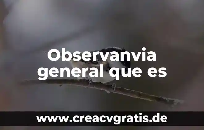 Qué es un temporizador símbolo en general 4 Observanvia general que es