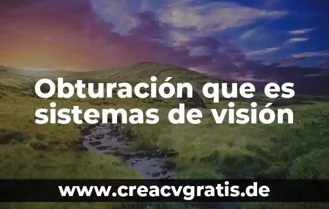 Que es el capital o patrimonio en contabilidad 6 Obturación que es sistemas de visión
