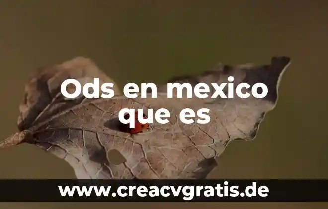 Que es significado cuantitativo 5 Ods en mexico que es