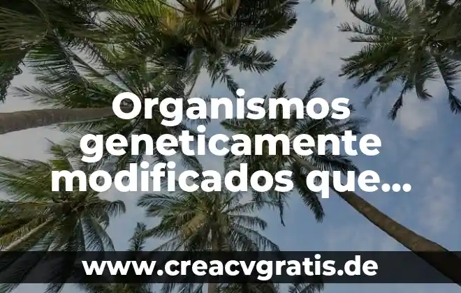 Que es la calidad segun los organismos internacionales 7 Organismos geneticamente modificados que es