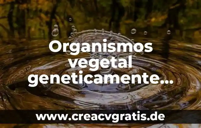 Cuantos delos organismos tiende ala entapia decimos que es 4 Organismos vegetal geneticamente modificados que es
