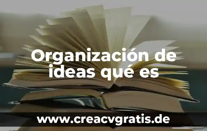 Que es mensaje en organizacion de la informacion 3 Organización de ideas qué es