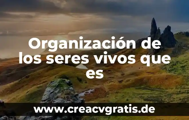 Que es evolucion de los seres vivos dibujos para colorear 8 Organización de los seres vivos que es