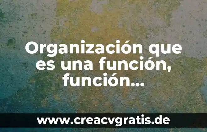 Qué es significa las organización cam 6 Organización que es una función, función legalización, jerarquías