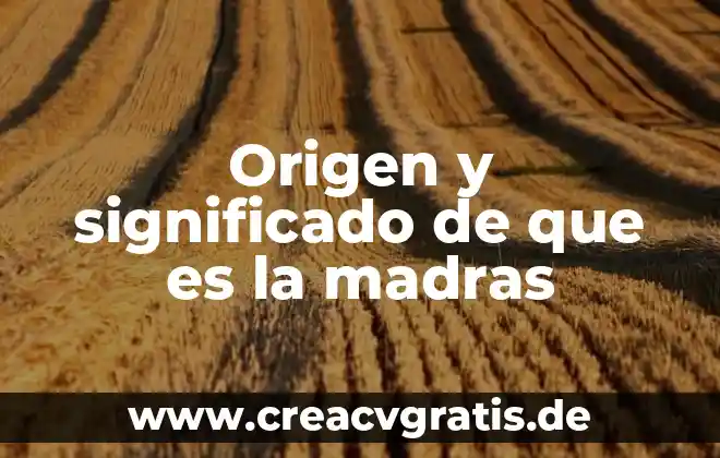 Qué es sector alimentario significado 8 Origen y significado de que es la madras