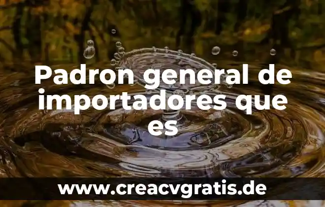 Que es un principio general 3 Padron general de importadores que es