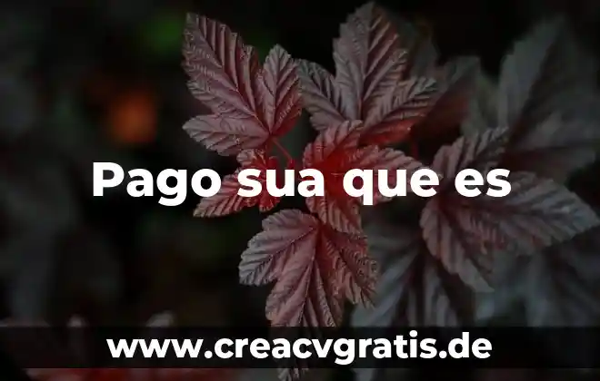Qué es una tarjeta mercado pago 6 Pago sua que es