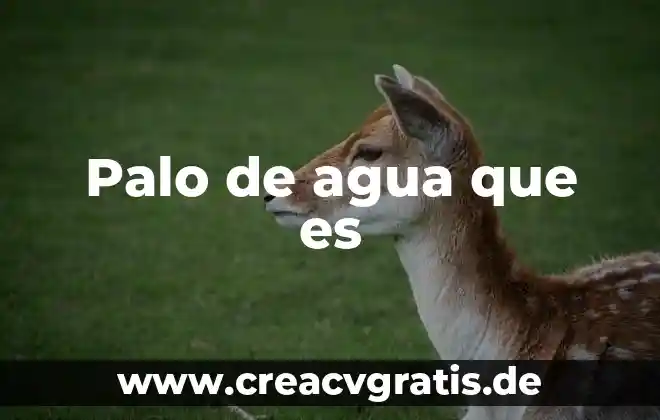 Que es 300 cc de agua 5 Palo de agua que es