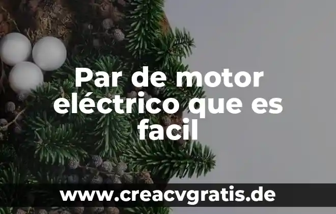 Que es la sobrecarga en un motor electrico 5 Par de motor eléctrico que es facil
