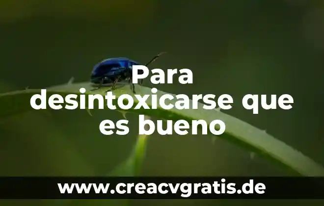 Qué es bueno para quemaduras con agua hervida 7 Para desintoxicarse que es bueno