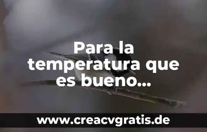 Sensor de temperatura que es tipos de sensores 6 Para la temperatura que es bueno paracetamol o aspirina
