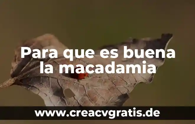 Para que es buena el agua de pepino 7 Para que es buena la macadamia