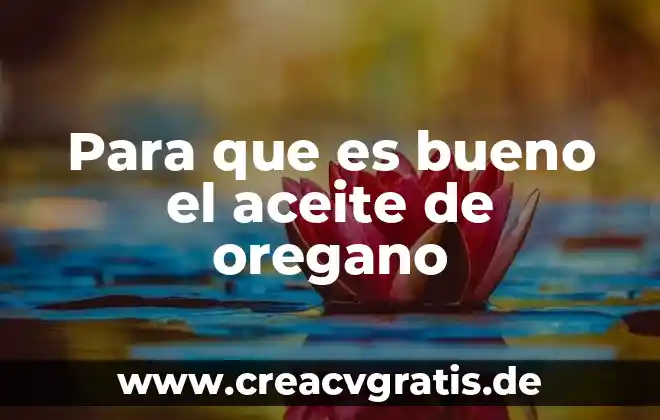 Que es un avance contacto agua aceite 4 Para que es bueno el aceite de oregano