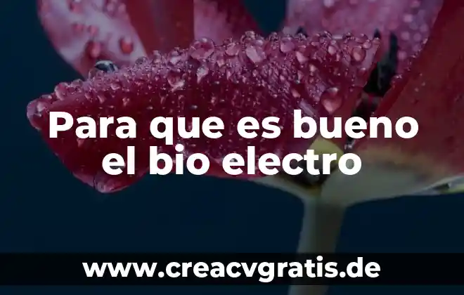 Para que es bueno el agua de horchata 5 Para que es bueno el bio electro