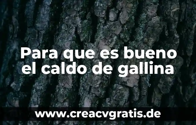 Para que es bueno el plidan compuesto nf 6 Para que es bueno el caldo de gallina