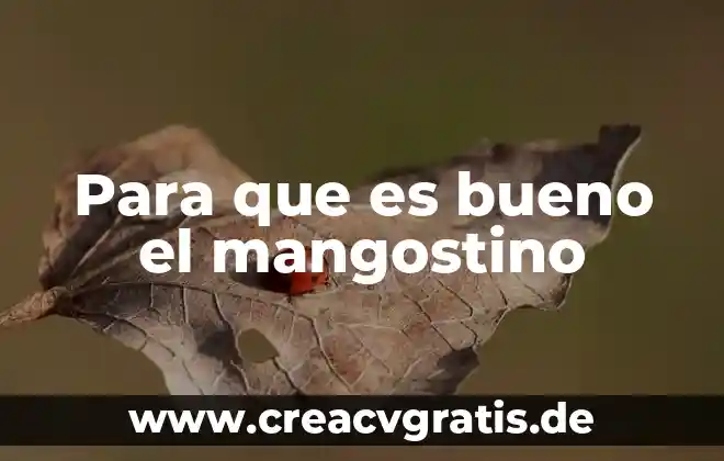 Que es bueno para limpiar la sangre 8 Para que es bueno el mangostino