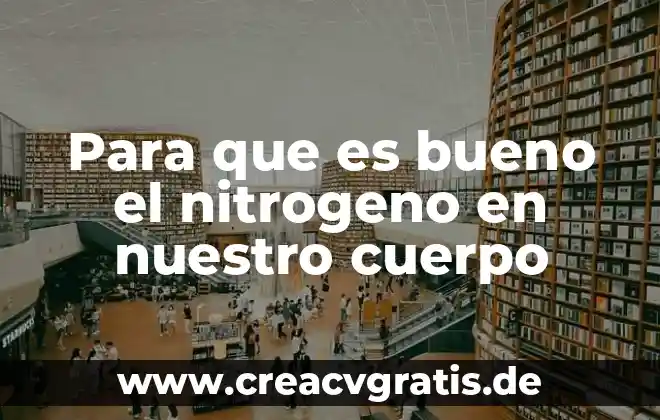Que es el ciclo del nitrogeno y su importancia 4 Para que es bueno el nitrogeno en nuestro cuerpo
