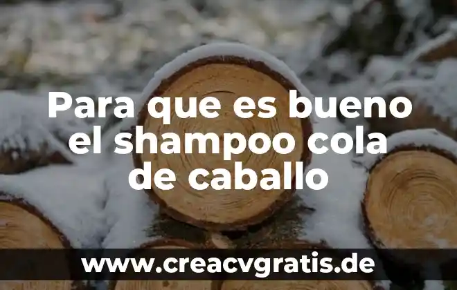 Que es cola de caballo planta medicinal 6 Para que es bueno el shampoo cola de caballo