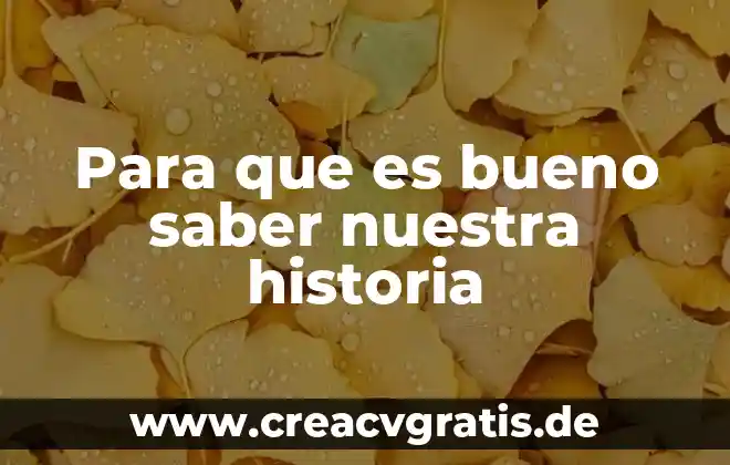 Por que es importante nuestra bandera mexicana 7 Para que es bueno saber nuestra historia