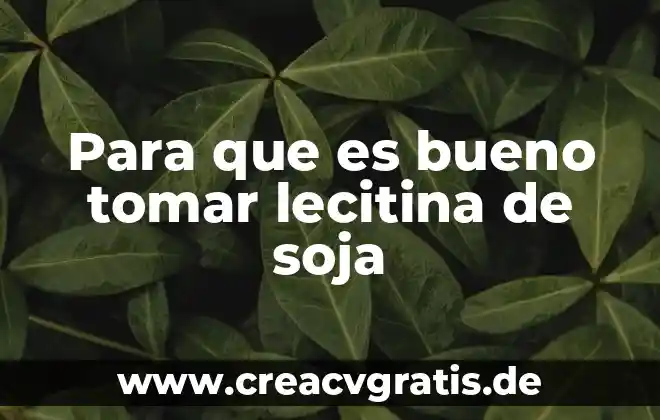 Que es bueno tomar para la cirulación de la sangre 4 Para que es bueno tomar lecitina de soja