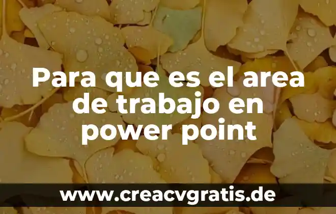Color parrafo dibujo edicion que es en power point 5 Para que es el area de trabajo en power point