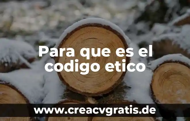 Que es un consumo etico 3 Para que es el codigo etico