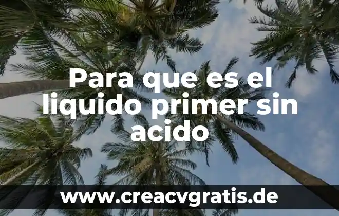 Qué es el sabor ácido 4 Para que es el liquido primer sin acido
