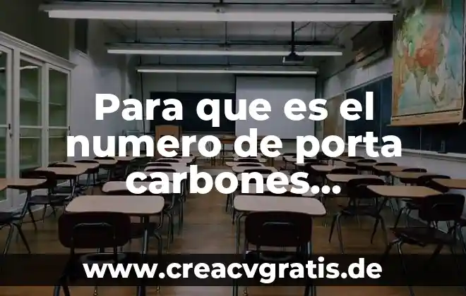Qué es número ex 4 Para que es el numero de porta carbones 44-310-780
