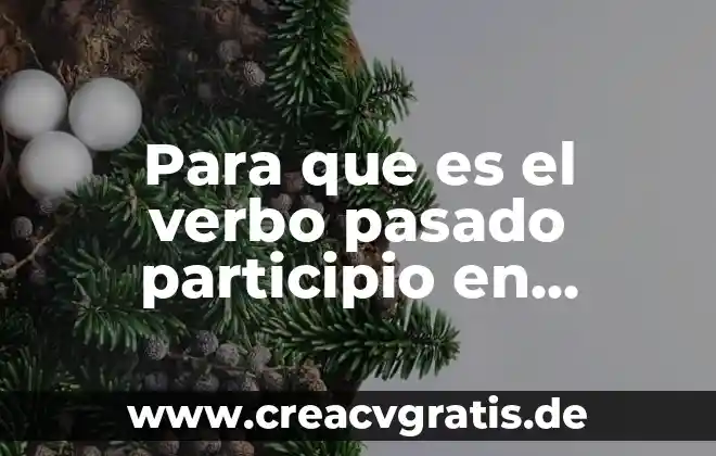 Como saber que es un verbo irregular en ingles 3 Para que es el verbo pasado participio en ingles