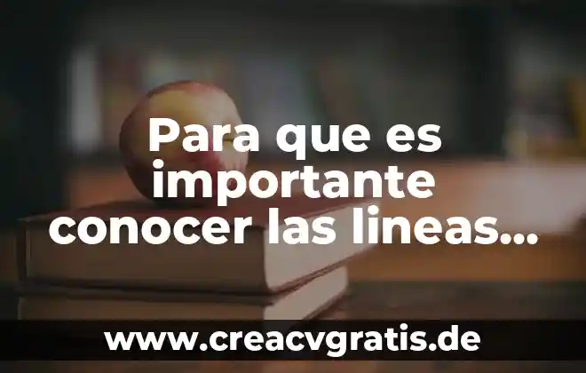 Qué es el punto de equilibrio en varias líneas 6 Para que es importante conocer las lineas imagnarias