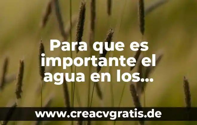 Qué es métodos para la conservación de los alimentos 4 Para que es importante el agua en los alimentos