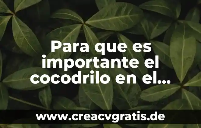 Por que es importante el principio precautor 5 Para que es importante el cocodrilo en el ecosistema