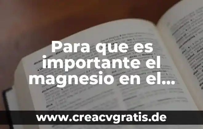 Que es el ser humano espiritual mapa mental 4 Para que es importante el magnesio en el cuerpo humano