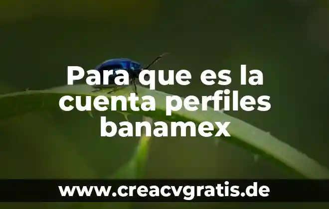 Qué es el número de error 96 en banamex 3 Para que es la cuenta perfiles banamex