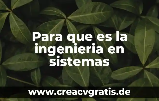Auditoria en sistemas que es 8 Para que es la ingenieria en sistemas