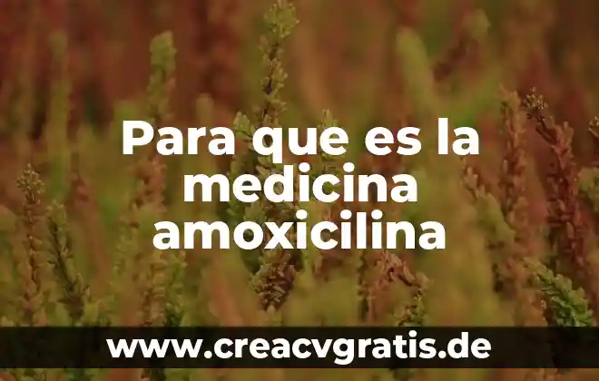 Qué es DHE en medicina 4 Para que es la medicina amoxicilina