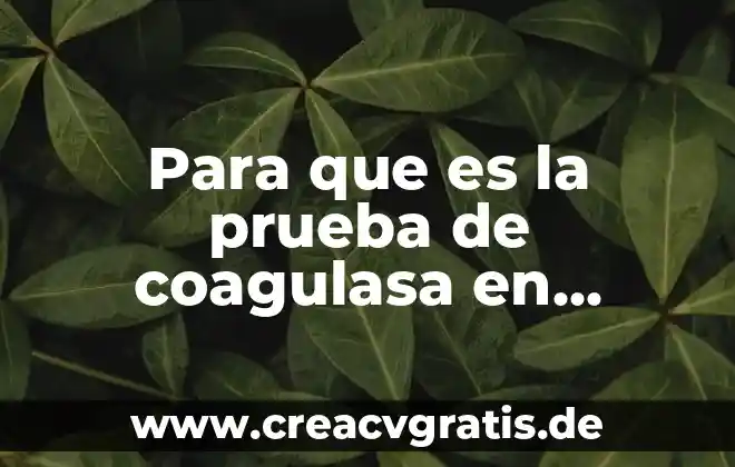Prueba íloto que es 4 Para que es la prueba de coagulasa en staphylococcus