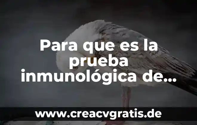 Que es la prueba de geordano 4 Para que es la prueba inmunológica de embarazo