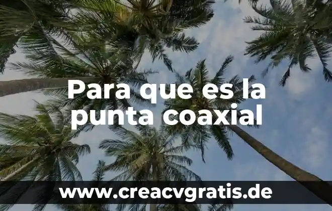 Qué es formula tipos en informática 7 Para que es la punta coaxial