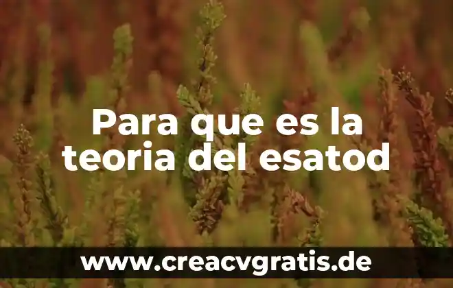 Qué es el endoso y tipos de endoso 8 Para que es la teoria del esatod
